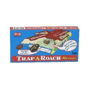 Hoy hoy trap-a-roach