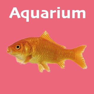 Aquarium