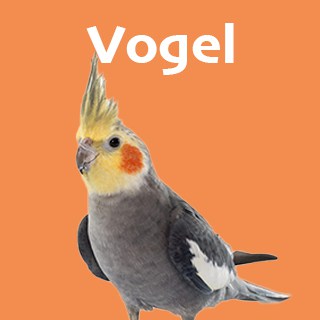 Vogel