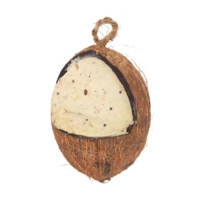 Suet to go hele  kokosnoot met meelworm (12X10X8 CM)