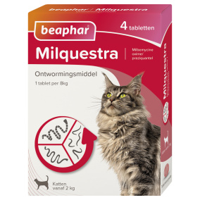 Beaphar Milquestra kat (2 - 12kg) 4st