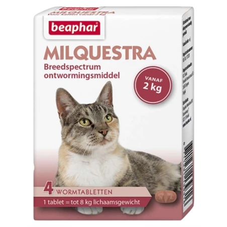 Beaphar Milquestra Kat - Afbeelding 2
