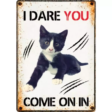 Waakbord I Dare you come on
  in 