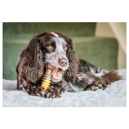 Nylabone Extreme Chew Textured Bone Beef & Cheese Bruin Geel Kaas Rund