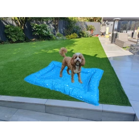 PetsHome Koel Kussen - Hond en Kat - S - 66 bij 50 cm - Blauw