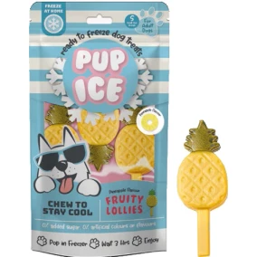 Pup ice hondenijsje fruit lollie ananas pak a 3 stuks