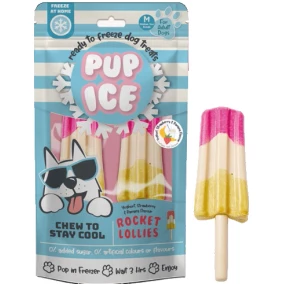 Pup ice hondenijsje raket yoghurt/aardbei/banaan pak a 2 stuks