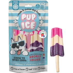 Pup ice hondenijsje raket aarbei/bosbessen pak a 2 stuks