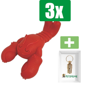 Nylabone Extreme Chew Lobster Filet Mignonsmaak - Extra Large  - Kauwbot - Hondenspeelgoed - Kauwspeelgoed - 3 stuks - Inclusief Goudkleurige PetsHome Adreskoker