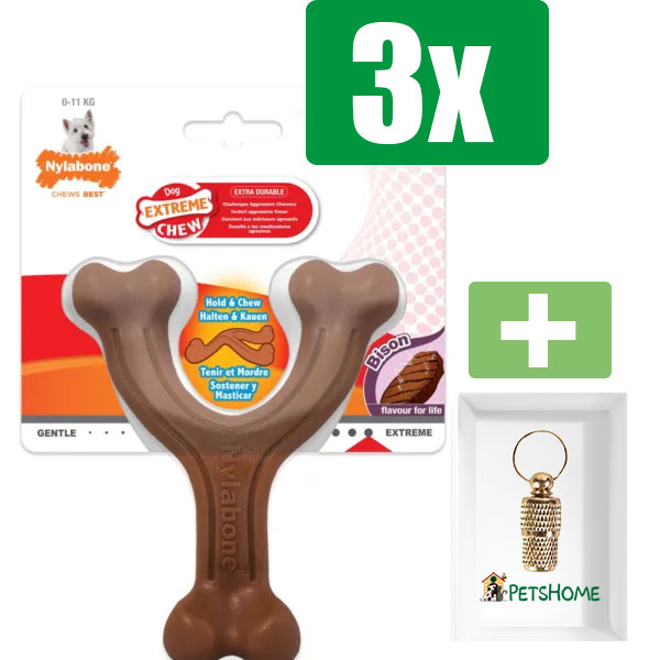 Nylabone Been Extreme Y Vorm Bizonsmaak - Small - Kauwbot - Hondenspeelgoed - Kauwspeelgoed - 3 stuks - Inclusief Goudkleurige PetsHome Adreskoker