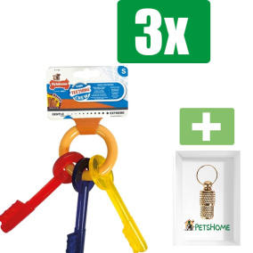 Nylabone Puppy Chew Bijtsleutels Baconsmaak - TOT 11 KG  - Kauwbot - Hondenspeelgoed - Kauwspeelgoed - 3 stuks - Inclusief Goudkleurige PetsHome Adreskoker