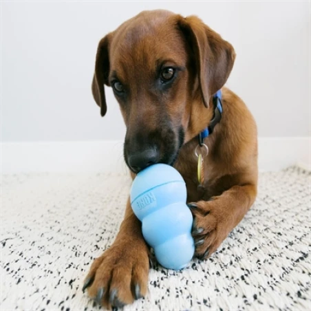 Kong Puppy Roze Of Blauw Assorti - Afbeelding 3