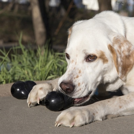 Kong Extreme Goodie Bone - Afbeelding 5