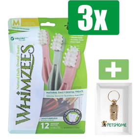 Whimzees Tandenborstel Star M - Kauwsnacks - Hond - 11,4cm - 12st - 3 Zakken - Inclusief PetsHome Goudkleurige Adreskoker