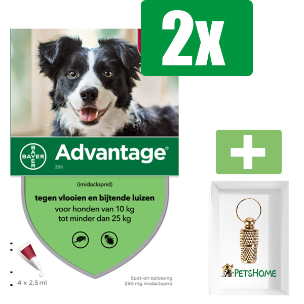 Advantage Hond 250 2.5 ml - 4 Pipetten - 2 Stuks - Inclusief PetsHome Goudkleurige Adreskoker