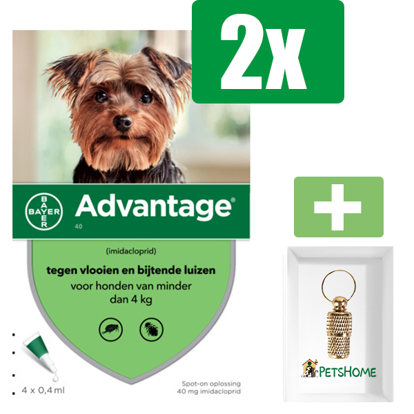 Advantage Hond 40 0.4 ml - 4 Pipetten - 2 Stuks - Inclusief PetsHome Goudkleurige Adreskoker