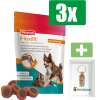 Beaphar Flexifit Treats - 3 Stuks - Inclusief PetsHome Goudkleurige Adreskoker