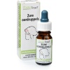 Phytotreat Zure Oordruppels - 10ml