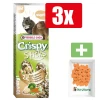 Versele Laga Crispy Sticks hamster&rat groente 2x55 g Groente - Knaagdiersnacks - 3 Stuks - Inclusief PetsHome Drops Wortel Snoepjes