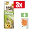 Versele Laga Crispy Sticks gerbil&muis zonnebloem 2x55 g Natuur - Knaagdiersnacks - 3 Stuks - Inclusief PetsHome Drops Wortel Snoepjes