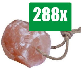 PetsHome Himalaya Liksteen Zout 2 tot 3 kg - Paarden - 288 stuks