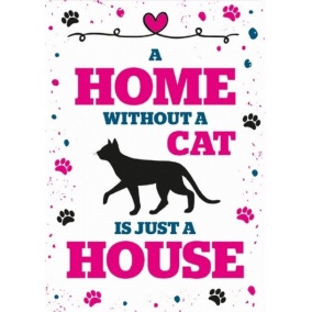 Plenty gifts waakbord blik home without a cat