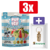 Pup Ice Hondenijs Voordeelpak Fruit Lollie - 3 Stuks - Inclusief PetsHome Goudkleurige Adreskoker