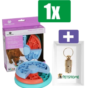 Nina Ottosson hondenspel puppy lickin’layers - Inclusief PetsHome Goudkleurige Adreskoker