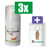 PhytoTreat Mellodermal Indoor Honingzalf - 15ml - 3 Stuks - Inclusief PetsHome Goudkleurige Adreskoker