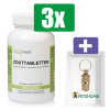 Phytotreat Zouttabletten 1000mg - 100 tabl - 3 Stuks - Inclusief PetsHome Goudkleurige Adreskoker