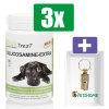 PhytoTreat Glucosamine-Extra Hond Valuepack - 90 tabl - 3 Stuks - Inclusief PetsHome Goudkleurige Adreskoker
