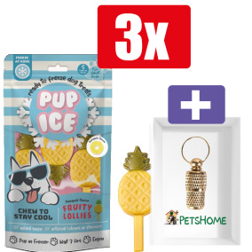 Pup Ice Hondenijsje Fruit Lollie Ananas - 3 Stuks - Inclusief PetsHome Goudkleurige Adreskoker