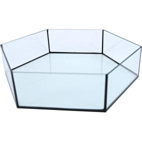 Interzoo Onderbak Glas Hexo Bird