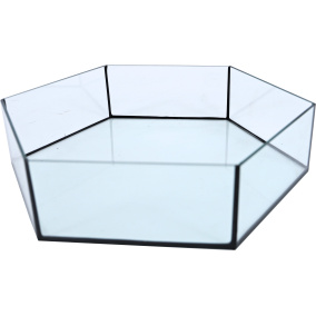 Interzoo Onderbak Glas Hexo Bird Xl