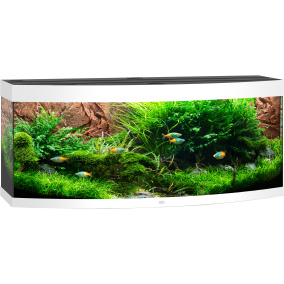 Juwel Aquarium Vision 450 Led Met Filter Wit