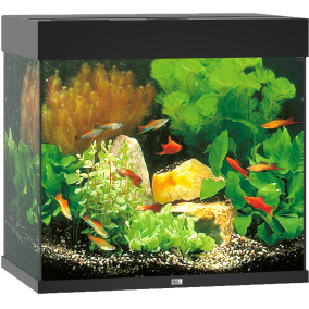 Juwel Aquarium Lido 120 Led Met Filter Zwart