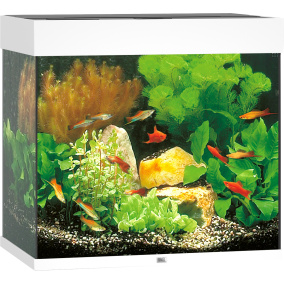 Juwel Aquarium Lido 120 Led Met Filter Wit