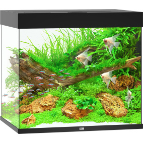Juwel Aquarium Lido 200 Led Met Filter Zwart