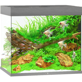Juwel Aquarium Lido 200 Led Met Filter Grijs