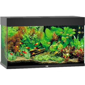 Juwel Aquarium Rio 125 Led Met Filter Zwart