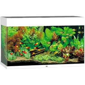 Juwel Aquarium Rio 125 Led Met Filter Wit