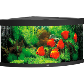 Juwel Aquarium Trigon 350 Led Met Filter Zwart