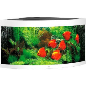 Juwel Aquarium Trigon 350 Led Met Filter Wit