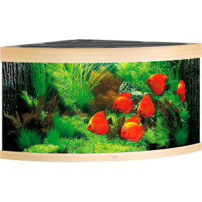 Juwel Aquarium Trigon 350 Led + Filter L.Eiken