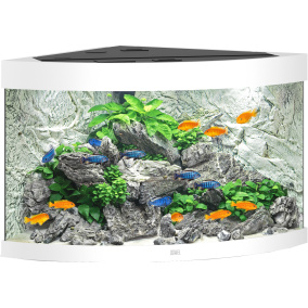 Juwel Aquarium Trigon 190 Led Met Filter Wit