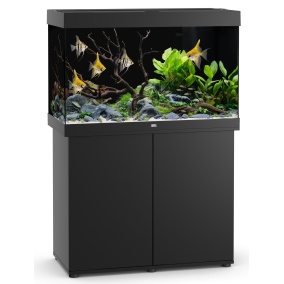 Juwel Aquarium Rio 290 Led Met Filter Zwart