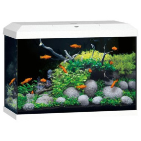 Juwel Aquarium Primo 70 2.0 Met Filter Wit