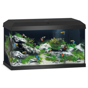 Juwel Aquarium Primo 60 2,0 Met Filter Zwart