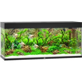 Juwel Aquarium Rio 240 Led Met Filter Zwart