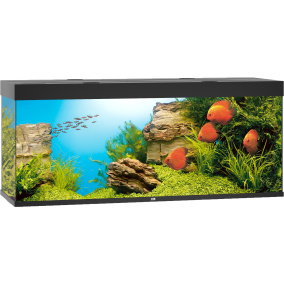 Juwel Aquarium Rio 450 Led Met Filter Zwart
